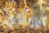 Graveyard Point Plume Agate Slab - Oregon #302110-1